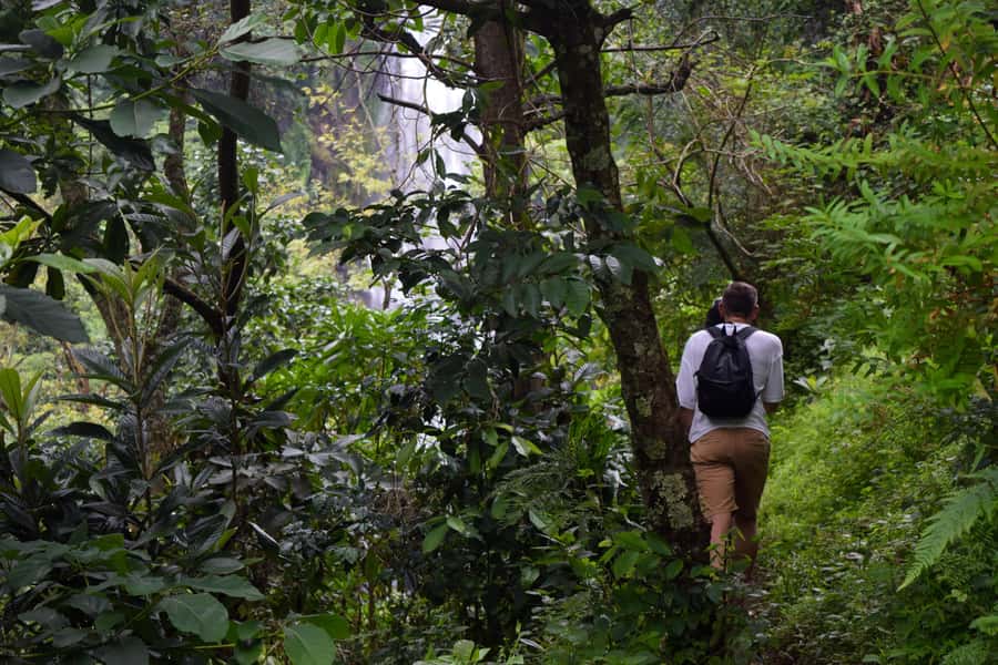 Materuni Waterfalls, Chemka Hot Springs, &/Or Coffee Tour - Guides who shape the day