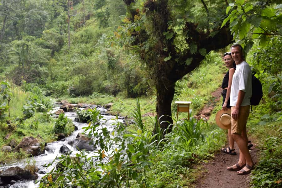 Materuni Waterfalls, Chemka Hot Springs, &/Or Coffee Tour - Who will enjoy this trip most