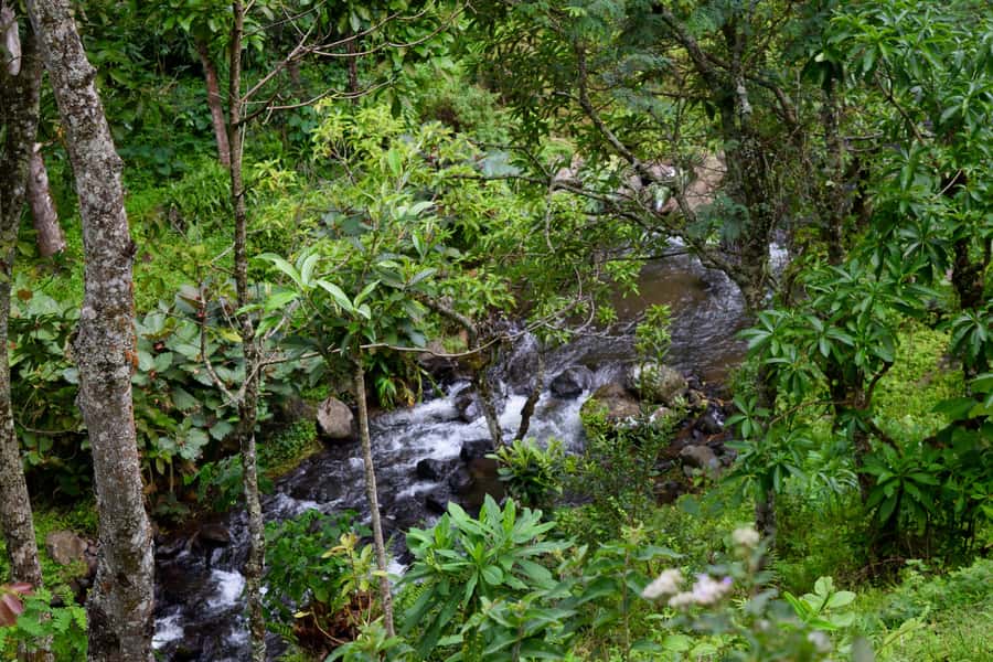 Materuni Waterfalls, Chemka Hot Springs, &/Or Coffee Tour - Booking details and small practical points