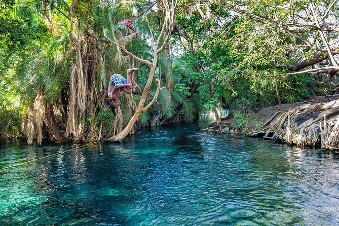 MATERUNI waterfalls, coffe tour & kikuletwa hotsprings - Key points to know before booking