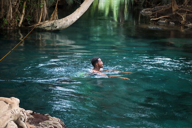 MATERUNI waterfalls, coffe tour & kikuletwa hotsprings - Why this Arusha day trip works
