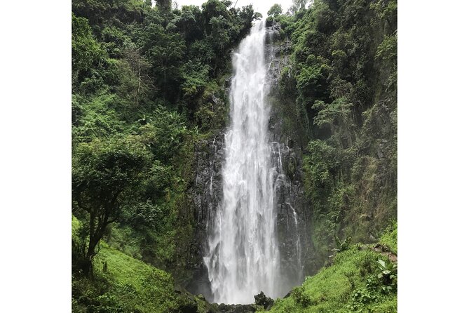 MATERUNI waterfalls, coffe tour & kikuletwa hotsprings - What the private format means for you