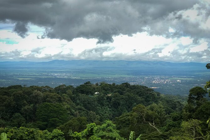 MATERUNI waterfalls, coffe tour & kikuletwa hotsprings - Is $150 per person good value?