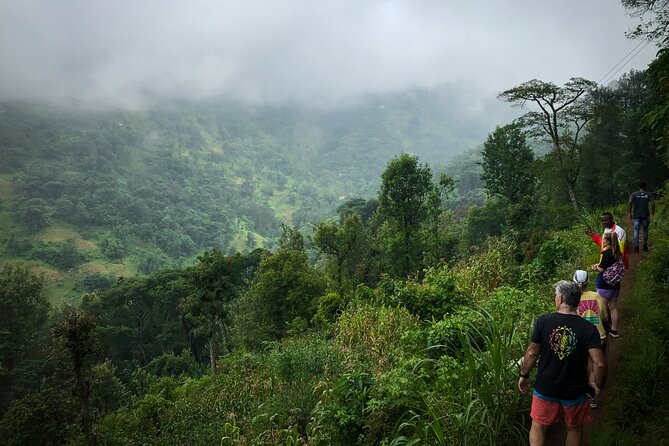 MATERUNI waterfalls, coffe tour & kikuletwa hotsprings - Weather, timing, and practical preparation