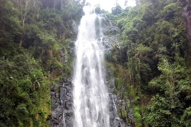 Materuni Waterfalls & Coffee making Cultural Tour | BURIGI CHATO SAFARIS LTD - Making coffee the Chagga way