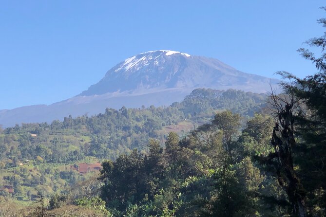 Materuni Waterfalls & Coffee Tour - Coffee country from plant to cup