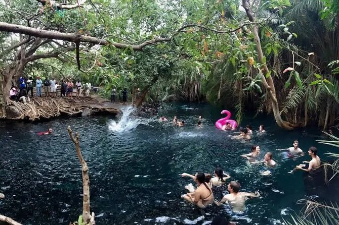 Materuni waterfalls coffee tour & Chemka hot springs Day trip - Chemka hot springs and the rough final drive