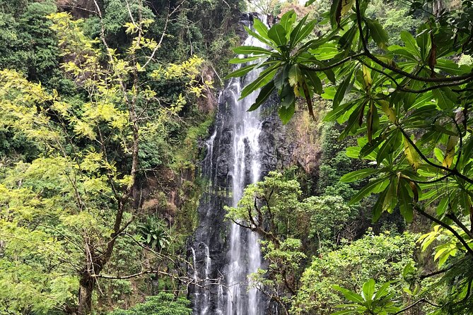 Materuni waterfalls coffee tour & Chemka hot springs Day trip - Who will enjoy this day most