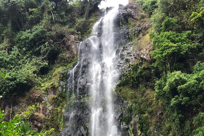 Materuni waterfalls coffee tour & Chemka hot springs Day trip - Timing, comfort, and simple ways to prepare