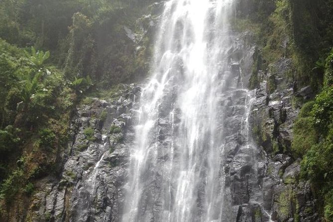 Materuni Waterfalls & Coffee Tour from Moshi - Coffee first, waterfall second