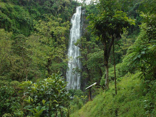 Materuni Waterfalls & Coffee Tour from Moshi - Materuni Waterfalls and the cold-water finish