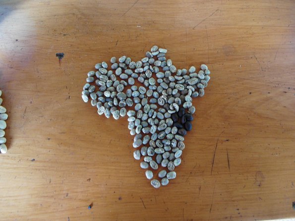 Materuni Waterfalls & Coffee Tour from Moshi - What the service feels like in practice