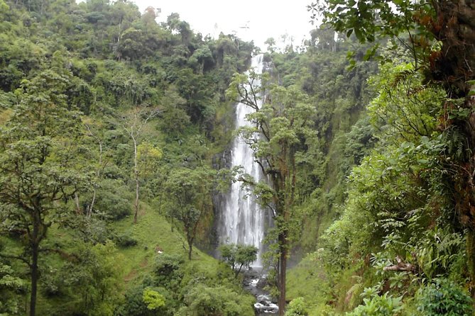 Materuni Waterfalls & Coffee Tour from Moshi - Who should book this Materuni tour?