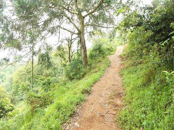 Materuni Waterfalls & Coffee Tour from Moshi - Should you book the $60 experience?