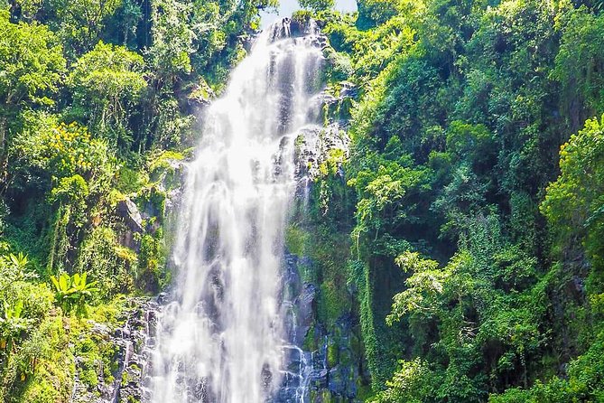 Materuni Waterfalls & Coffee Tour from Moshi - The walk through hills and valleys