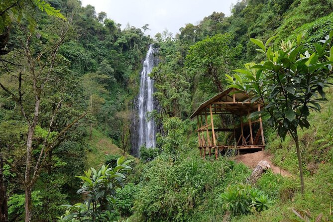Materuni waterfalls,coffee tour & Kikuletwa(Chemka)Hot Springs - Key points to know before booking