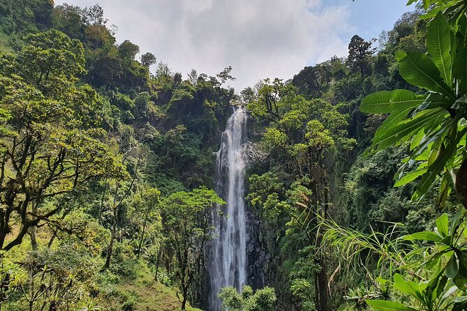 Materuni waterfalls,coffee tour & Kikuletwa(Chemka)Hot Springs - From Arusha to Materuni’s forest edge