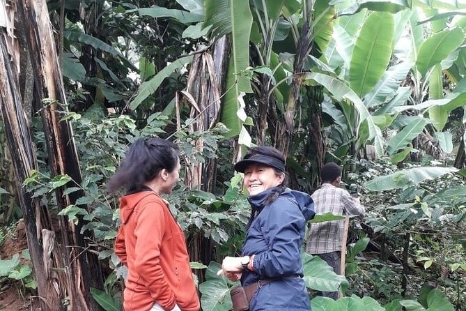 Materuni waterfalls,coffee tour & Kikuletwa(Chemka)Hot Springs - Food, drinks, and what to pack