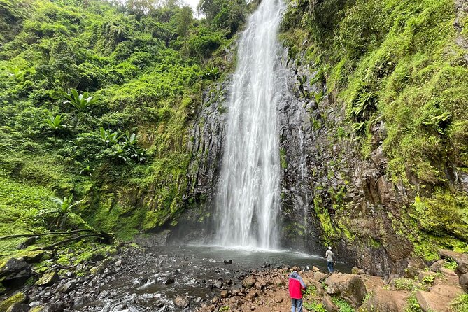 Materuni waterfalls,coffee tour & Kikuletwa(Chemka)Hot Springs - Learning coffee from plant to cup