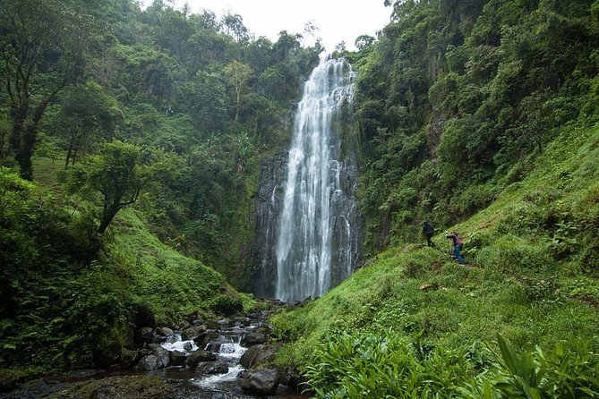 Materuni Waterfalls, coffee tour & Kikuletwa Hot Springs - At a glance