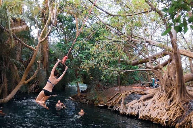 Materuni Waterfalls, coffee tour & Kikuletwa Hot Springs - Learning coffee from plant to cup