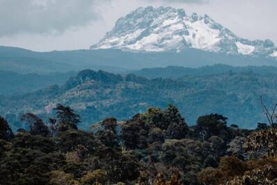 Materuni Waterfalls, coffee tour & Kikuletwa Hot Springs
