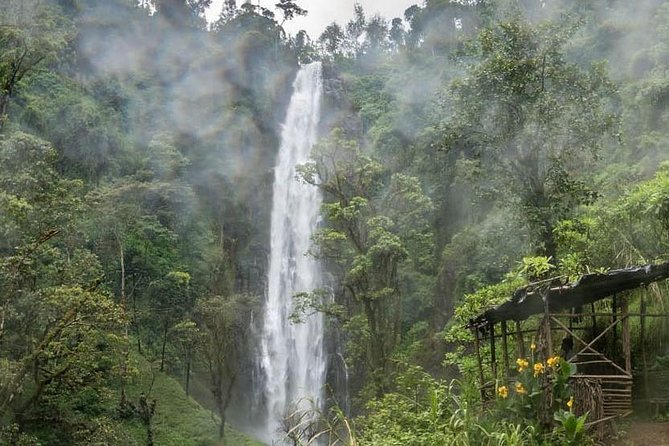 Materuni Waterfalls, coffee tour & Kikuletwa Hot Springs - The road to Kikuletwa Hot Springs