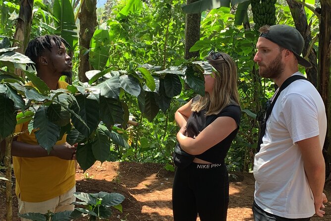 Materuni Waterfalls Hiking Tour with Coffee and Traditional Meal - Coffee from picked beans to a singing village cup