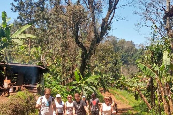 Materuni Waterfalls, Kikuletwa Chemka Hot springs, Coffee tour - Who will enjoy this experience most?