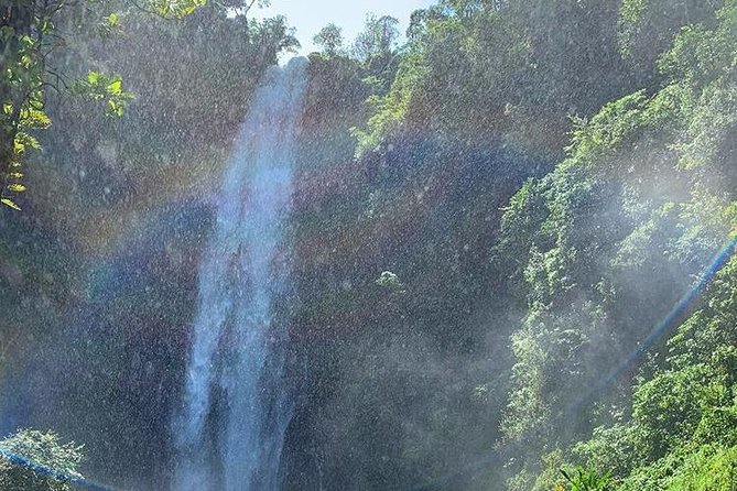 Materuni Waterfalls, Visiting Chagga Village, CoffeeTour Kikuletwa Hotsprings - Finishing at Kikuletwa Hotsprings