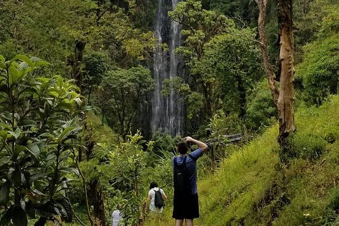 Materuni Waterfalls, Visiting Chagga Village, CoffeeTour Kikuletwa Hotsprings - Who will get the most from this tour