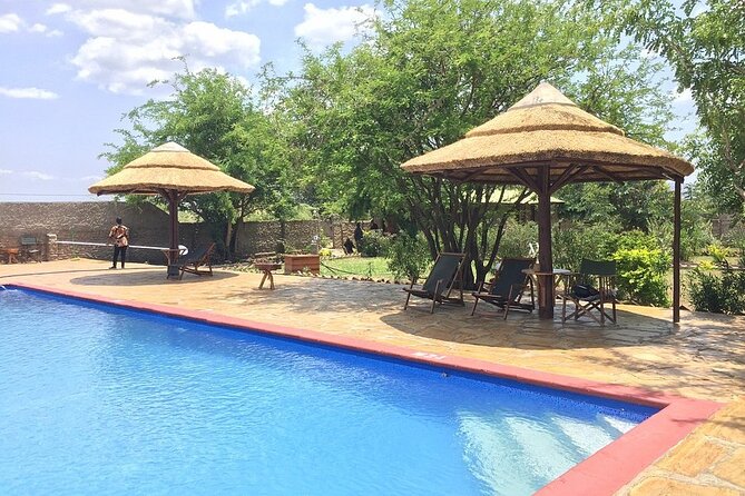 Mikumi National Park 2 Days/ 1 Night - Day two begins with the best wildlife hours