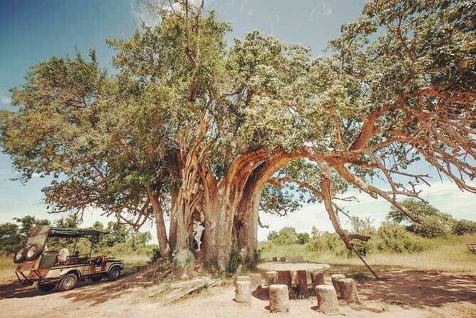 Mikumi National Park 3 Day Tour - Why Mikumi works for a short Tanzania visit