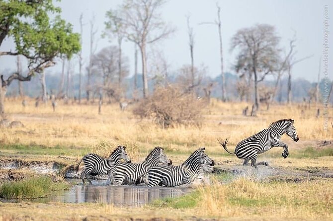 Mikumi National Park 3 Day Tour - What the $750 price includes