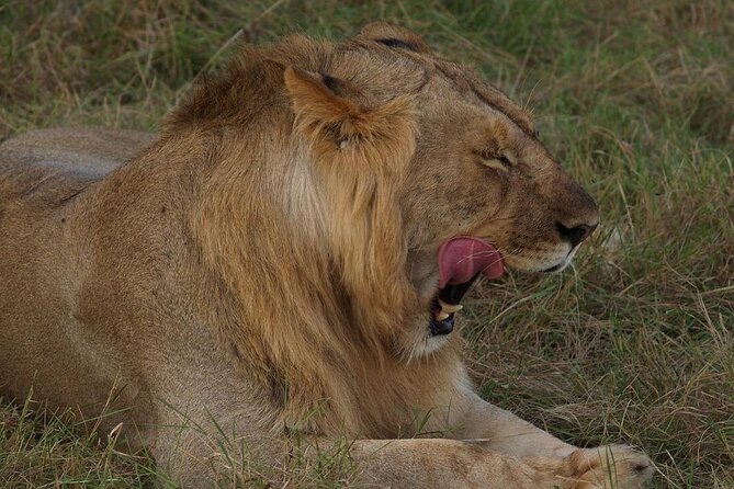 Mikumi National Park 3 Day Tour - Day one: the five-hour road to Mikumi