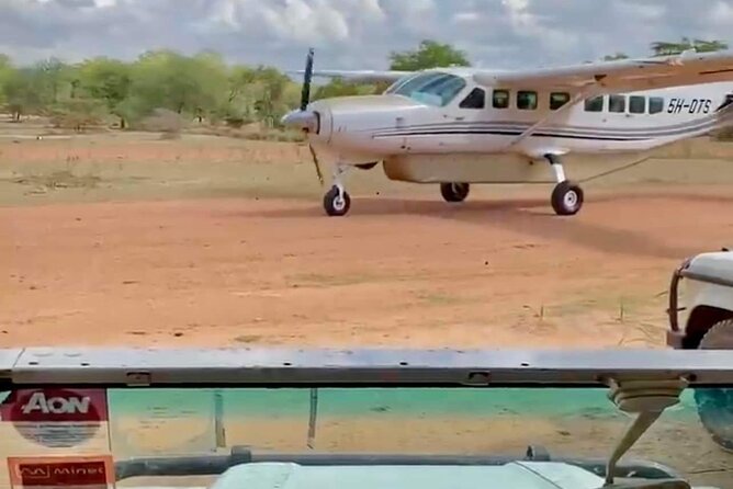 Mikumi National Park Day Trip - Why this Zanzibar safari works in one day