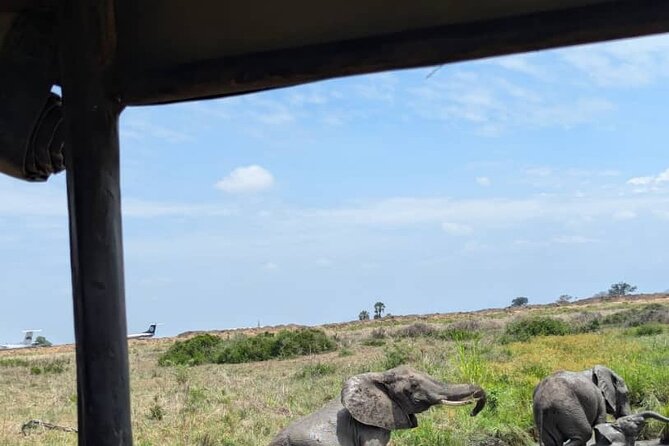 Mikumi National Park Day Trip by Train From Dar Es Salaam - What makes the scenery different