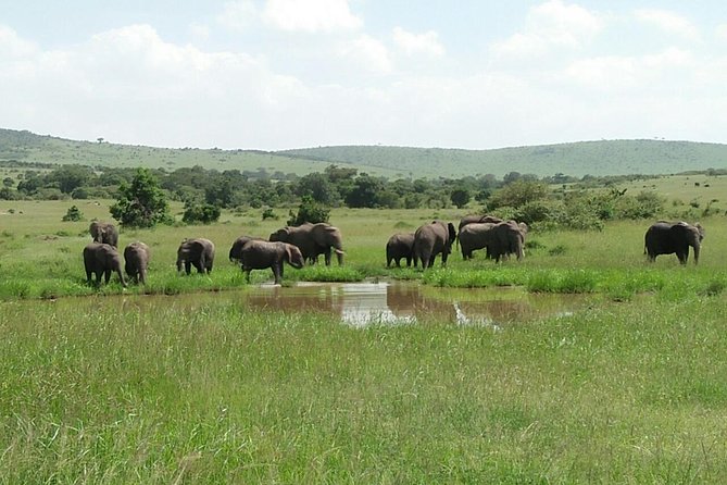 Mikumi national park full day tour from Dar es sallam - What the $370 price includes