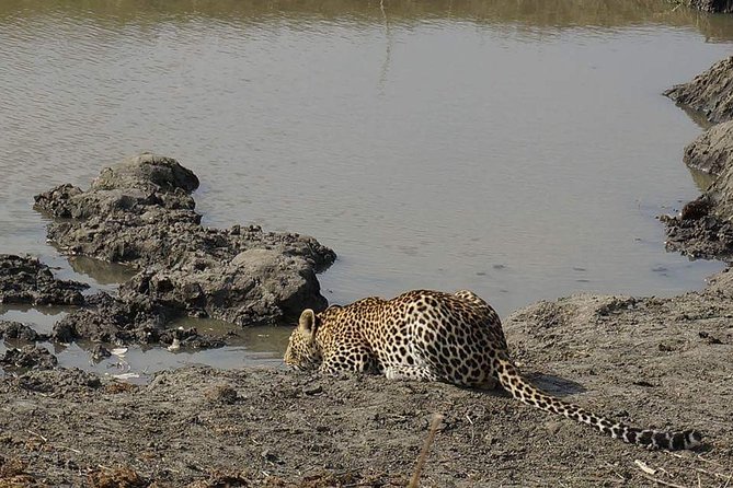Mikumi National Park in a Day - A Day Tour from Morogoro - Key points to know before booking