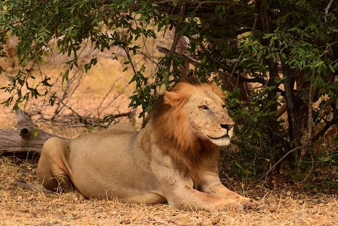 Mikumi National Park in a Day - A Day Tour from Morogoro - Who will enjoy this day most?