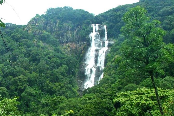 Mikumi National Park & Udzungwa Water Falls 3 Days Group Tour - Day one: the long road to Mikumi