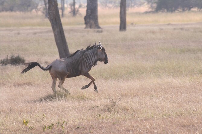 Mikumi National Park & Udzungwa Water Falls 3 Days Group Tour - What the $770 price really covers