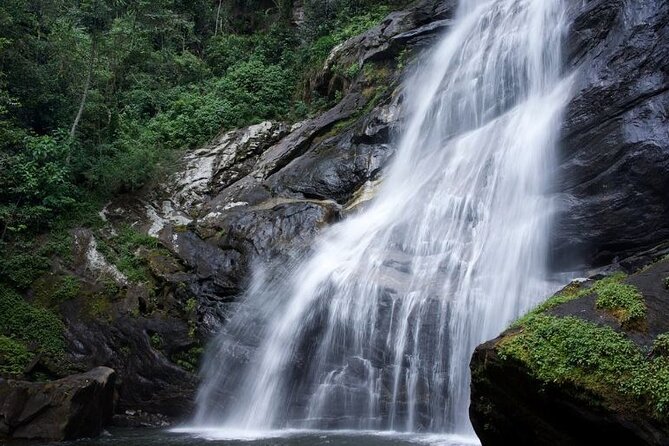 Mikumi National Park & Udzungwa Water Falls 3 Days Group Tour - Who should book this trip