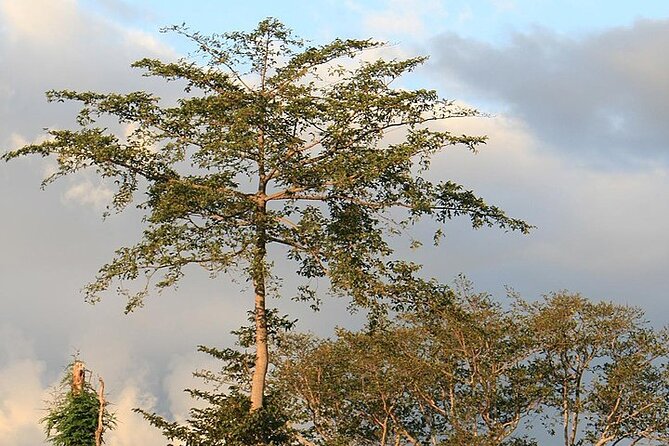 Mikumi National Park & Udzungwa Water Falls 3 Days Group Tour - Booking details worth confirming