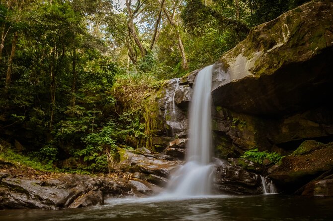 Mikumi National Park & Udzungwa Water Falls 3 Days Group Tour - Day two: Udzungwa trails and three waterfalls