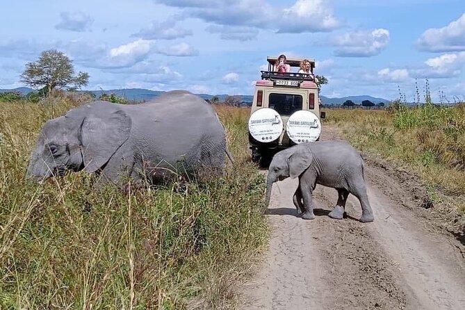 Mikumi Safari Tour: Day Trip Return Flight From Zanzibar - Key points to know before booking