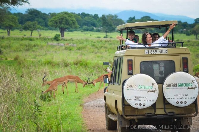 Mikumi Safari Tour: Day Trip Return Flight From Zanzibar - Lunch, fruit, and drinks on the vehicle