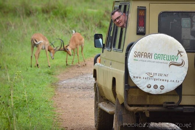 Mikumi Safari Tour: Day Trip Return Flight From Zanzibar - Is $600 per person good value?