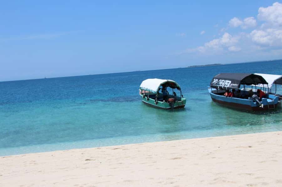 Mnemba dolphin & snorkel: from matemwe, pwani, kwingwa, Uroa - Key points to know before you book
