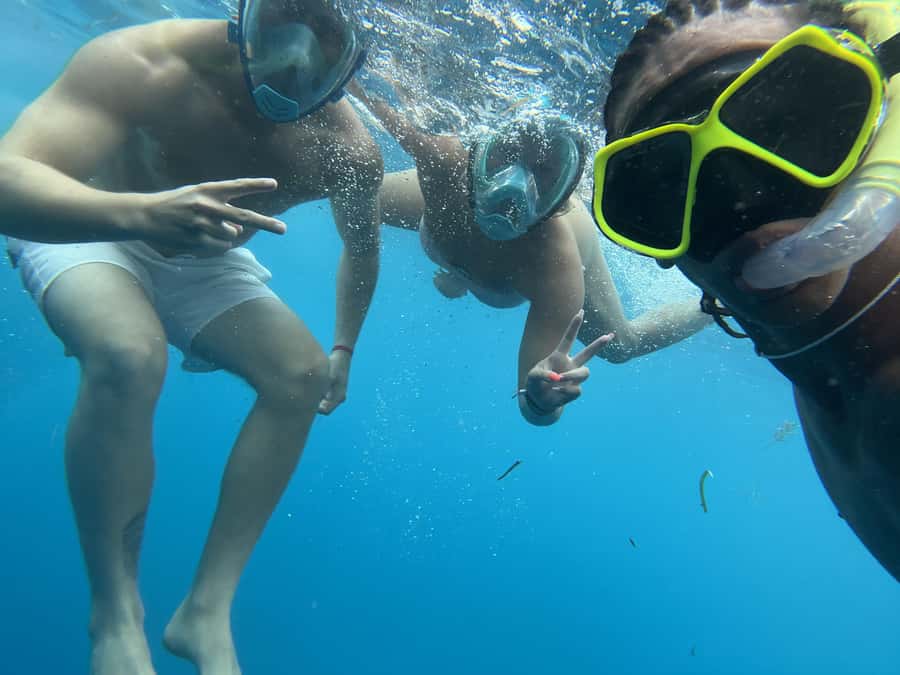 Mnemba dolphin & snorkel: from matemwe, pwani, kwingwa, Uroa - First stop: searching for dolphins in open water